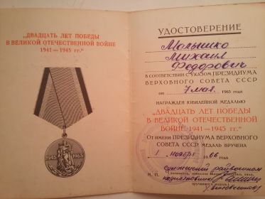 Двадцать лет Победы в Великой Отечественной Войне 1941-1945 гг.