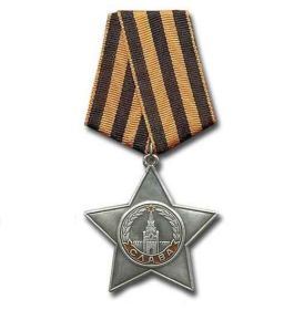 Орден Славы 3-й степени      (№ 83463)