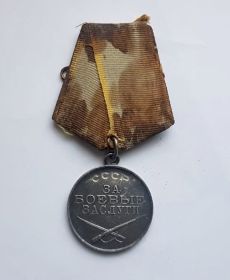 Медаль "За Боевые Заслуги" (1)