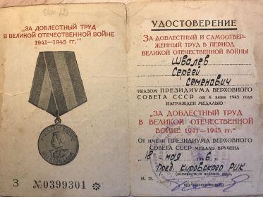 Медаль «За доблестный труд в Великой отечественной войне 1941-1945 гг.»