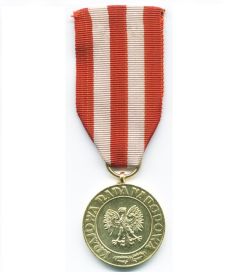 Медаль по Указу Краевой Рады Народовой «За звычанство и вольность»