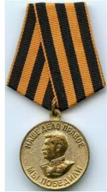 медаль " за победу над Германией в Великой Отечественной Войне 1941-1945гг"