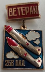 Нагрудный знак "256 ИАД"