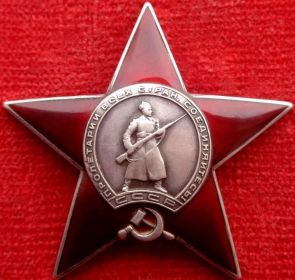 Удостоен высшей награды-орденом Красной Звезды.