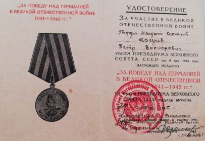 Медаль «За победу над Германией в Великой Отечественной войне 1941-1945 гг.»