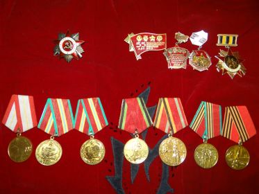 Медаль "За победу над Германии в Великой Отечественной войне 1941-1945; Медаль "За взятие Кенигсберга", "Орден Отечественной Войны I степени"
