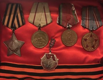 Орден Славы III степени; медали « За оборону Сталинграда»