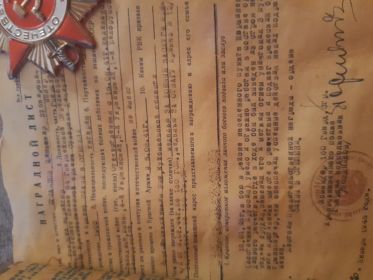 Орден Славы 3 степени,  орден " Красная Звезда "медалями "За Отвагу" , " За Боевые Заслуги"