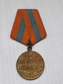медаль За взятие Будапешта