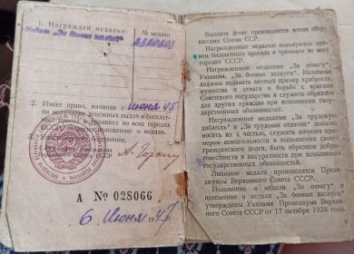 Медаль за боевые заслуги