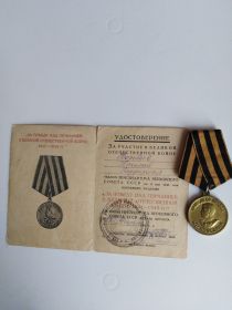 медаль  «За победу над Германией в Великой Отечественной войне 1941—1945 гг.»