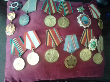 . «За боевые заслуги». «Орден Отечественной Войны 1степени» «Юбилейные награды».