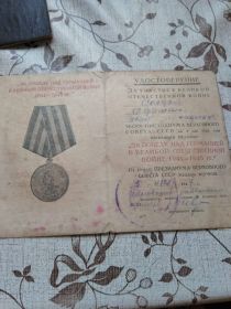 3. "Медаль за победу над Германией в Великой Отечественной Войне 1941 - 1945"