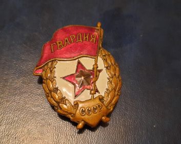 Нагрудный знак "Гвардия"