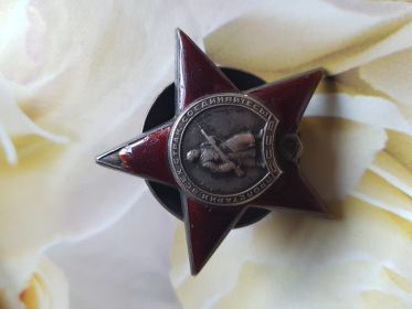 Орден Красной Звезды, медаль "За боевые заслуги"