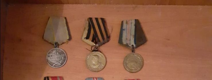 Медаль "За боевые заслуги", медаль "За оборону Кавказа", медаль "За победу над Германией".