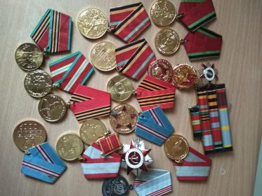 Медаль «За оборону Кавказа» 1.05.1944, «За победу над Германией 9.05.1945, «Орден Красной Звёзды», 1944