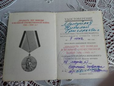 юбилейная медаль «20 ЛЕТ ПОБЕДЫ В ВЕЛИКОЙ ОТЕЧЕСТВЕННОЙ ВОЙНЕ 1941 – 1945 гг.»
