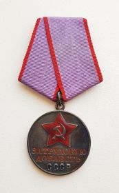 Медаль "За трудовую доблесть СССР"