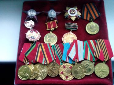 2 ордена Красной звезды, орден ВОВ I степени, медаль за победу в ВОВ над Германией.