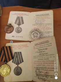 Медаль «За доблестный труд в Великой Отечественной войне 1941—1945 гг.», Медаль «За победу над Германией в Великой Отечественной войне 1941—1945 гг.»