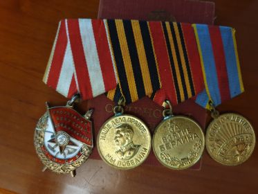медаль "за Победу над Германией в Великой Отечественной войне 1941 - 1945гг."