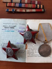 Медаль «За отвагу» и Медаль «За боевые заслуги»
