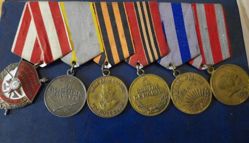 Орден Красного Знамени(1946 г), Медаль "За боевые заслуги"(1946 г), Медаль "За победу над Германией В Великой Отечественной войне 1941-1945гг"(1945 г), Медаль "...