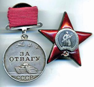 Медаль за отвагу, орден красной звезды.