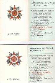 Ордена ВОВ 2-й степени