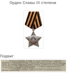 Орден Славы 3 степени