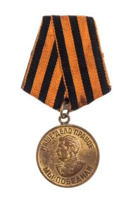 Медаль «За победу над Германией в Великой Отечественной войне 1941-1945г.г.»