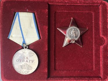 Орден «Красная Звезда», 2 медали «За отвагу», «За освобождение Варшавы», «За победу над Германией»