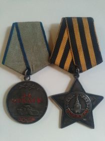 Орден "Славы" III степени, Медали "За отвагу", "За победу над Германией".