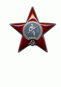 Орден Красной звезды (приказ от 30 октября 1943 года)