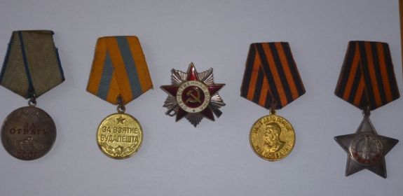 Был награждён Орденом «Славы», медалью «За отвагу», медалью «За взятие Будапешта», медалью «За Победу над Германией».