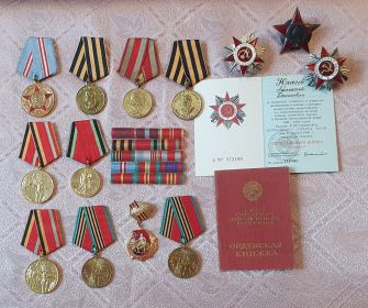 Орден Красной звезды, медаль "За Победу в Великой Отечественной Войне"