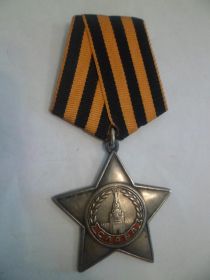 Орден "Слава 3 степени"
