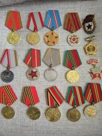 Награды: Медаль «За победу над Германией в Великой Отечественной войне 1941–1945 гг.»