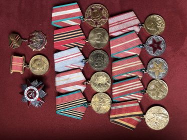 орден Отечественной войны 2-й степени, медали: За боевые заслуги, За победу над Германией, юбилейные