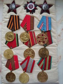 Награды: два ордена Красной звезды, орден Отечественной войны 2-й степени и медали