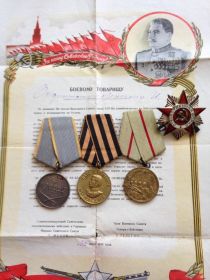 Медаль за Сталинградскую битву