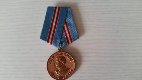 медаль за доблестный труд в ВОВ