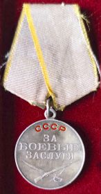 Медаль «За боевые заслуги»