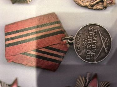 Медаль за боевые заслуги
