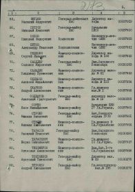 Медаль «За победу над Германией в Великой Отечественной войне 1941–1945 гг.» и ещё 11 медалей.