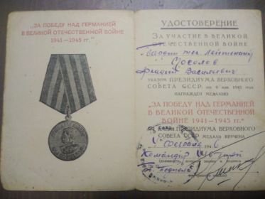 Медаль за победу над Германией в Великой Отечественной Войне 1941-1945