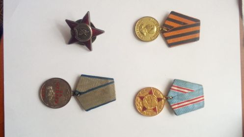 Медаль за отвагу, медаль за победу над Германией в ВОВ, медаль 50 лет вооружённых сил ,медаль за доблестный труд