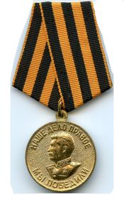 Медаль «За Победу над Германией в Великой Отечественной войне 1941-1945 г.г.»