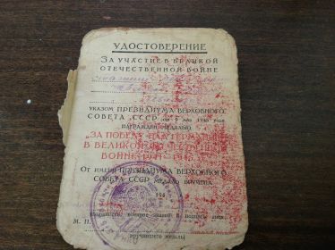 Медаль "За победу"